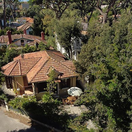 Exclusive Charming Villa - Free Parking 400 Mq Garden - Rome Airport - Roseto Villa Dream Fregenae Esterno foto